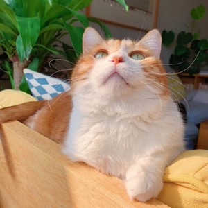 91精品国偷拍自产在
