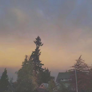 91精品国偷拍自产在
